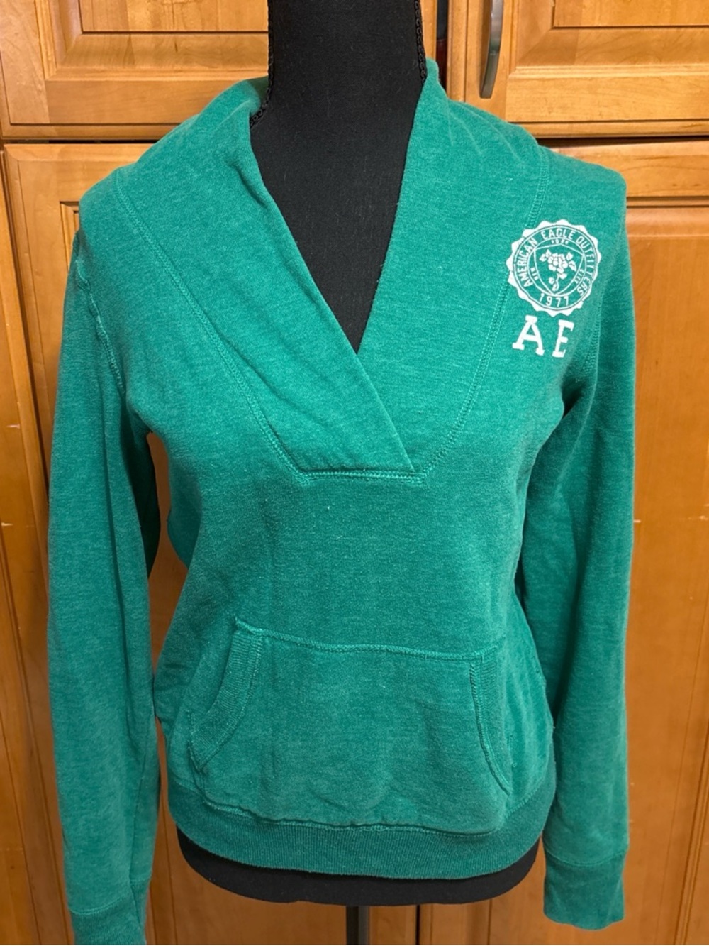 American Eagle Outfitters Green Pullover Hoodie with Chest Label